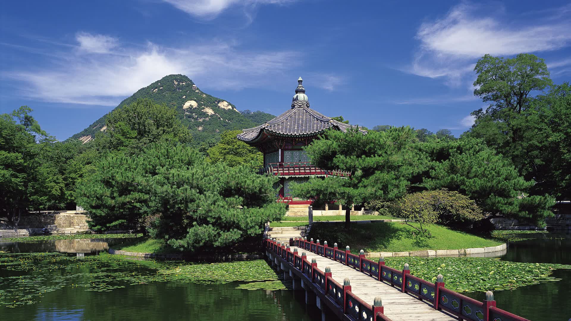 世界拳击职业联赛赛季后裁判培训与能力认证全国推广启动，拳击裁判数数